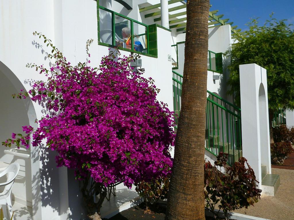 Apartamentos Guacimeta Matagorda  Exterior foto